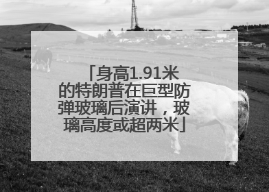 身高1.91米的特朗普在巨型防弹玻璃后演讲，玻璃高度或超两米