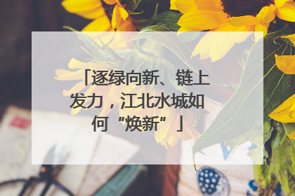 逐绿向新、链上发力，江北水城如何“焕新”