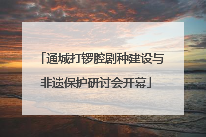 通城打锣腔剧种建设与非遗保护研讨会开幕