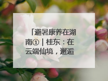 避暑康养在湖南①｜桂东：在云端仙境，邂逅一场清凉之约