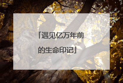 遇见亿万年前的生命印记