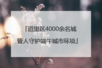 道里区4000余名城管人守护端午城市环境