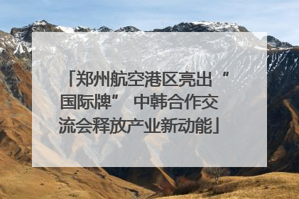 郑州航空港区亮出“国际牌” 中韩合作交流会释放产业新动能