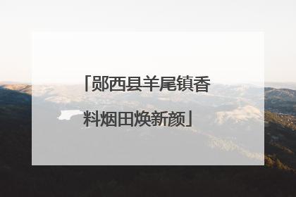 郧西县羊尾镇香料烟田焕新颜
