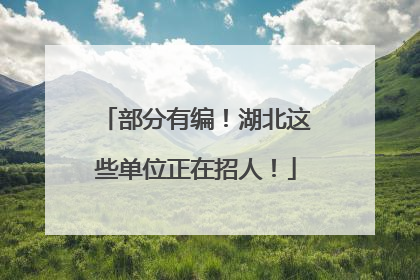 部分有编！湖北这些单位正在招人！