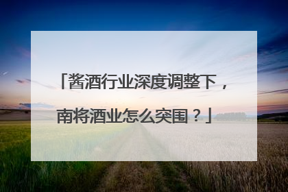 酱酒行业深度调整下，南将酒业怎么突围？