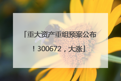 重大资产重组预案公布！300672，大涨