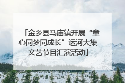 金乡县马庙镇开展“童心同梦同成长”运河大集文艺节目汇演活动