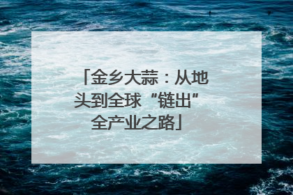 金乡大蒜：从地头到全球“链出”全产业之路