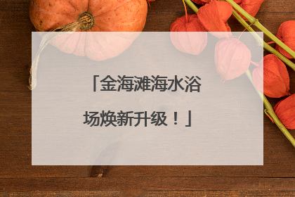 金海滩海水浴场焕新升级！