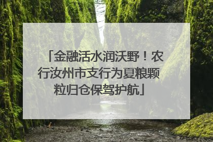 金融活水润沃野！农行汝州市支行为夏粮颗粒归仓保驾护航