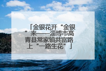 金银花开“金银”来——淄博市高青县常家镇共富路上“一路生花”