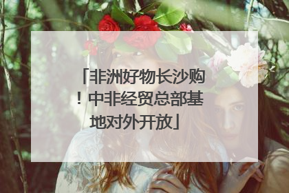 非洲好物长沙购！中非经贸总部基地对外开放