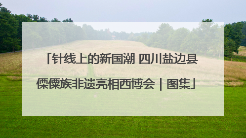 针线上的新国潮 四川盐边县傈僳族非遗亮相西博会｜图集