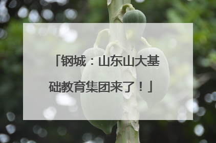 钢城：山东山大基础教育集团来了！