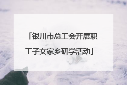 银川市总工会开展职工子女家乡研学活动