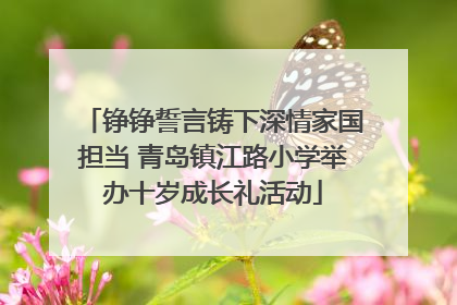 铮铮誓言铸下深情家国担当 青岛镇江路小学举办十岁成长礼活动