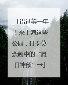 错过等一年！来上海这些公园，打卡莫奈画中的“夏日神颜”→