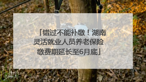 错过不能补缴！湖南灵活就业人员养老保险缴费期延长至6月底