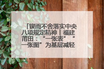 锲而不舍落实中央八项规定精神丨福建莆田：“一张表”“一张图”为基层减轻“数字负担”