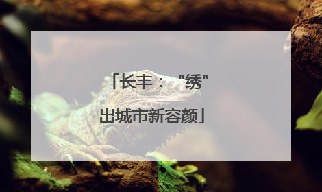 长丰：“绣”出城市新容颜