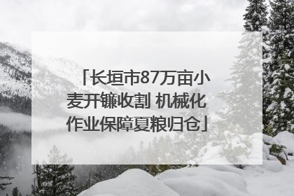 长垣市87万亩小麦开镰收割 机械化作业保障夏粮归仓