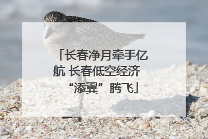 长春净月牵手亿航 长春低空经济“添翼”腾飞