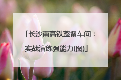 长沙南高铁整备车间：实战演练强能力(图)