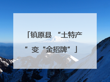镇原县 “土特产”变“金招牌”