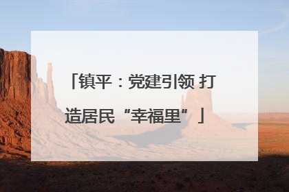 镇平：党建引领 打造居民“幸福里”