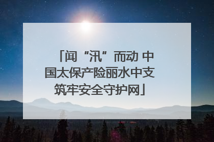 闻“汛”而动 中国太保产险丽水中支筑牢安全守护网