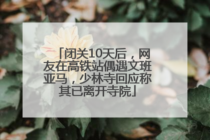闭关10天后，网友在高铁站偶遇文班亚马，少林寺回应称其已离开寺院
