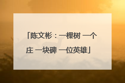 陈文彬：一棵树 一个庄 一块碑 一位英雄