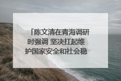 陈文清在青海调研时强调 坚决扛起维护国家安全和社会稳定职责使命 为谱写中国式现代化青海篇章贡献政法力量