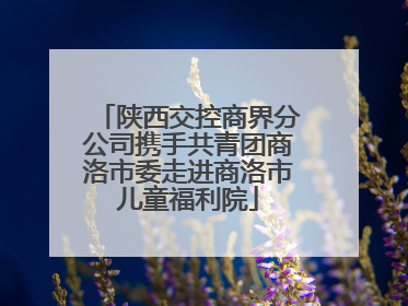 陕西交控商界分公司携手共青团商洛市委走进商洛市儿童福利院