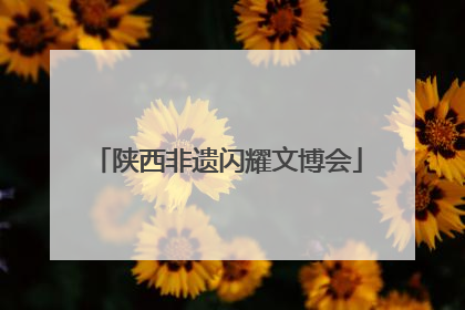 陕西非遗闪耀文博会