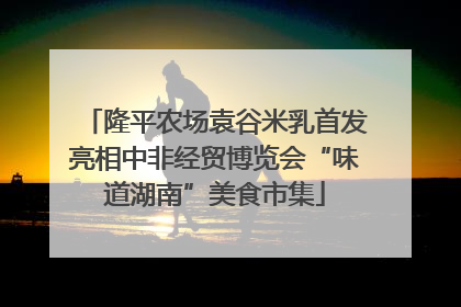 隆平农场袁谷米乳首发亮相中非经贸博览会“味道湖南”美食市集