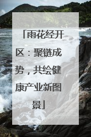 雨花经开区：聚链成势，共绘健康产业新图景