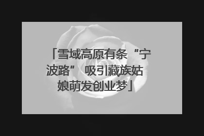 雪域高原有条“宁波路” 吸引藏族姑娘萌发创业梦