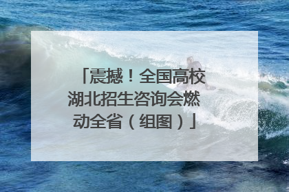 震撼！全国高校湖北招生咨询会燃动全省（组图）
