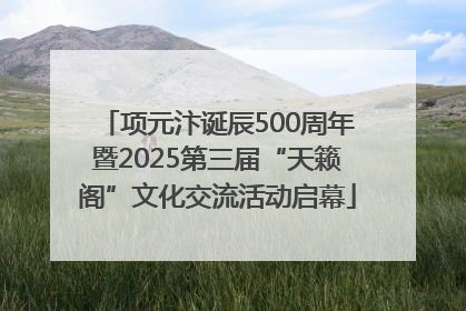 项元汴诞辰500周年暨2025第三届“天籁阁”文化交流活动启幕