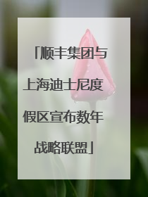 顺丰集团与上海迪士尼度假区宣布数年战略联盟