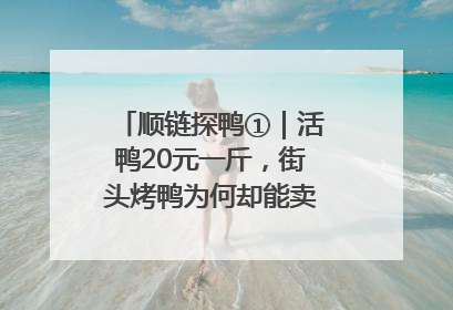 顺链探鸭①｜活鸭20元一斤，街头烤鸭为何却能卖到20多元一只