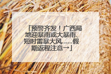 预警齐发！广西局地迎暴雨或大暴雨、短时雷暴大风……假期返程注意→