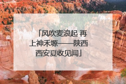风吹麦浪起 再上神禾塬——陕西西安夏收见闻