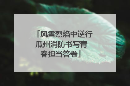 风雪烈焰中逆行 瓜州消防书写青春担当答卷