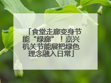 食堂走廊变身节能“绿廊”！嘉兴机关节能展把绿色理念融入日常
