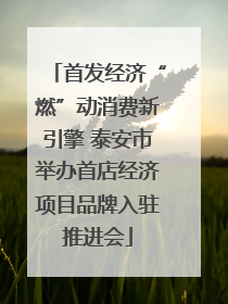 首发经济“燃”动消费新引擎 泰安市举办首店经济项目品牌入驻推进会