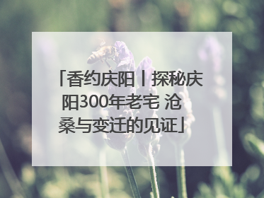 香约庆阳丨探秘庆阳300年老宅 沧桑与变迁的见证