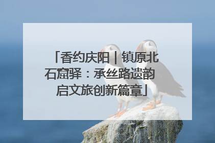 香约庆阳｜镇原北石窟驿：承丝路遗韵 启文旅创新篇章